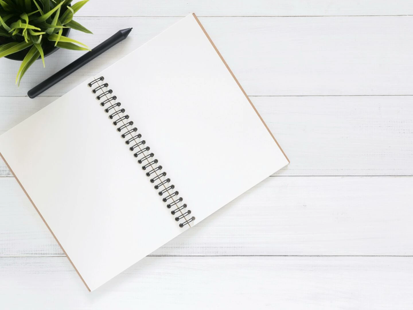 open spiral notebook on white desk with black pen and green plant ideal for planning