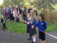 opening of woodland path
