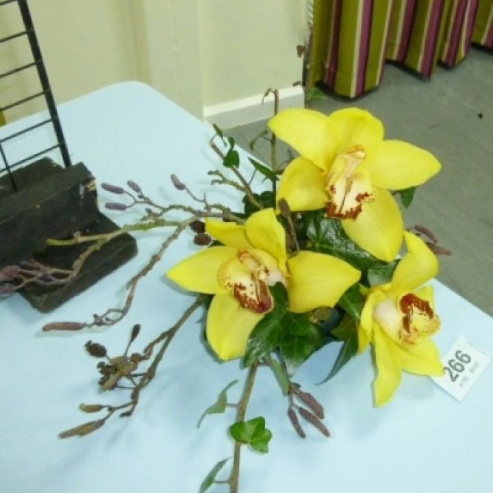 p1020868