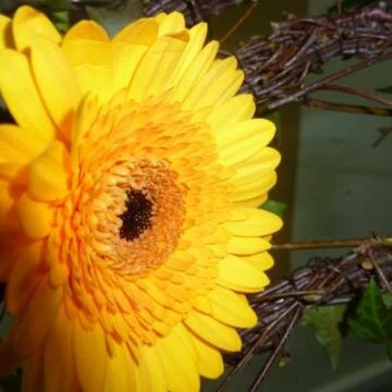 p1030495