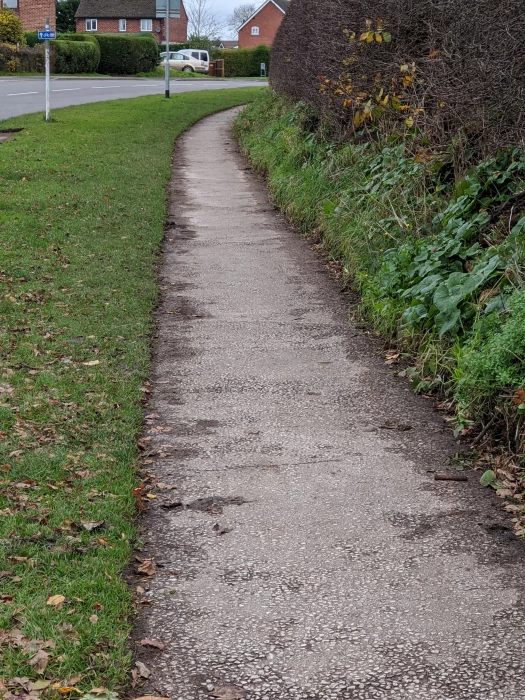 path 1