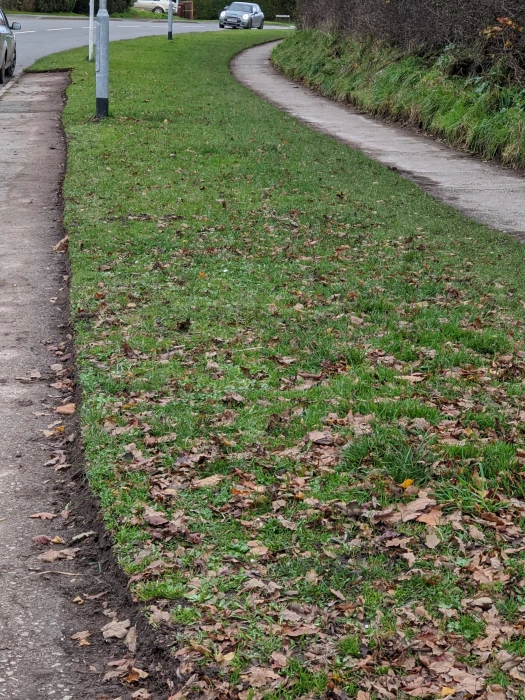 path 2
