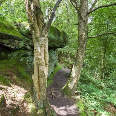 path and sandstone geology on bickerton hill 2
