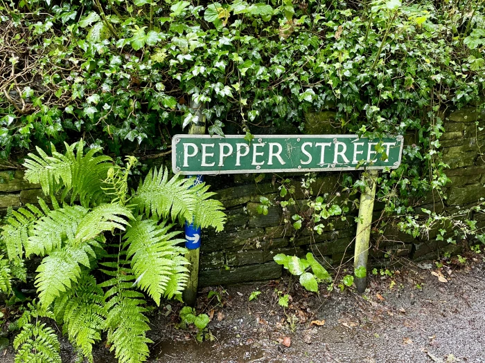 pepper-street