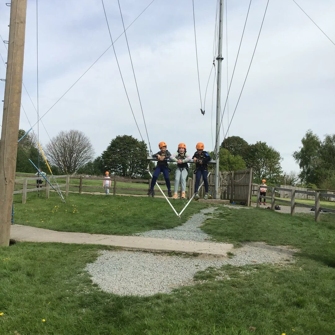 pgl 12