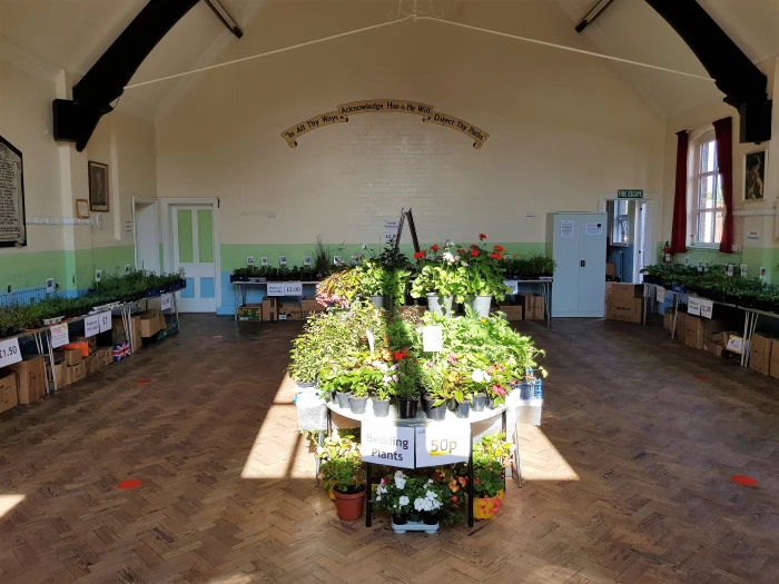 plant fair 1