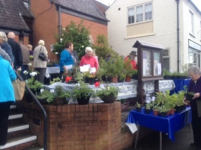 plant sale 2015 photo 2 13