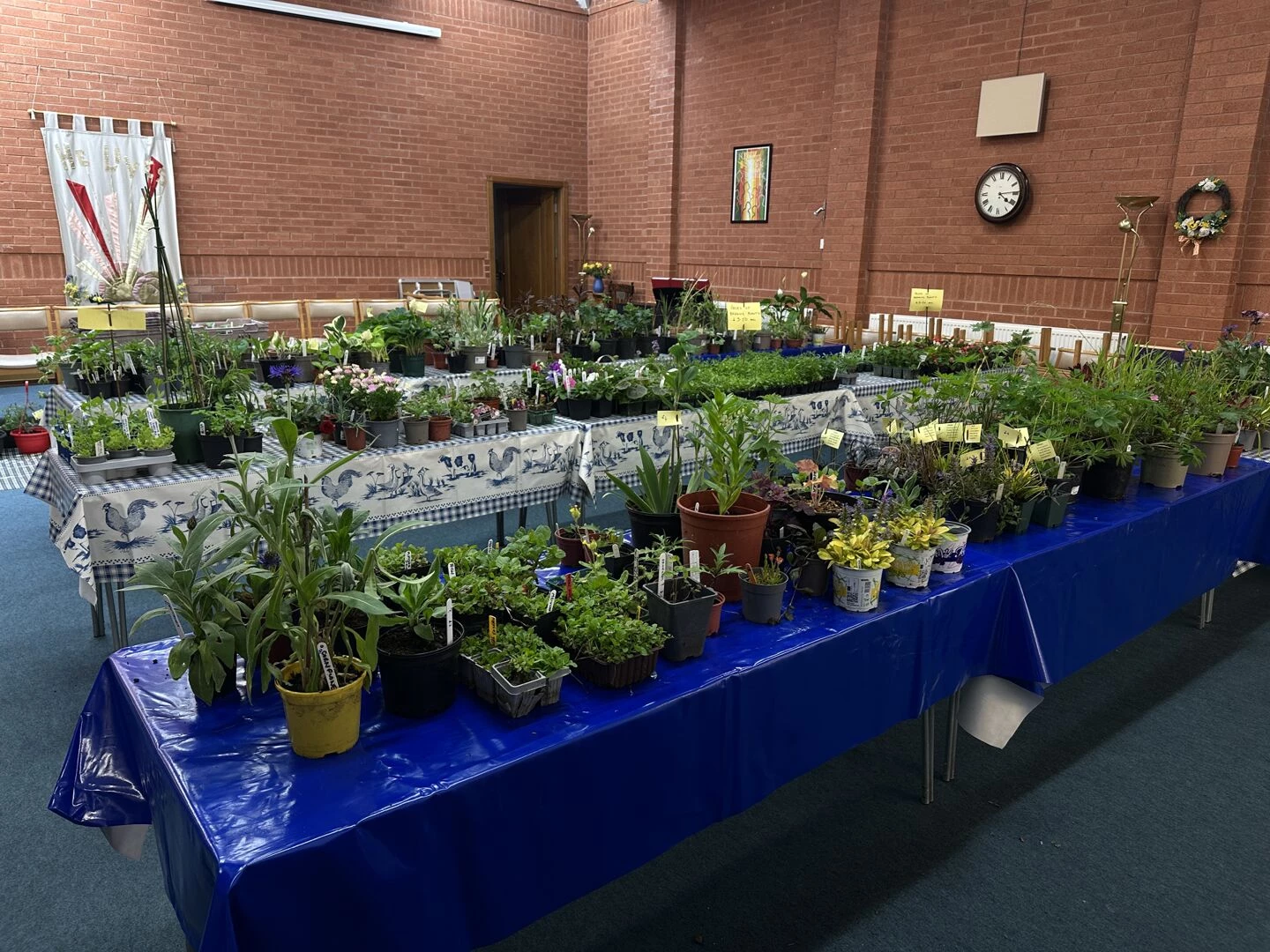 plant sale 2025 preparations
