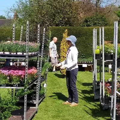 plant sale2 2018