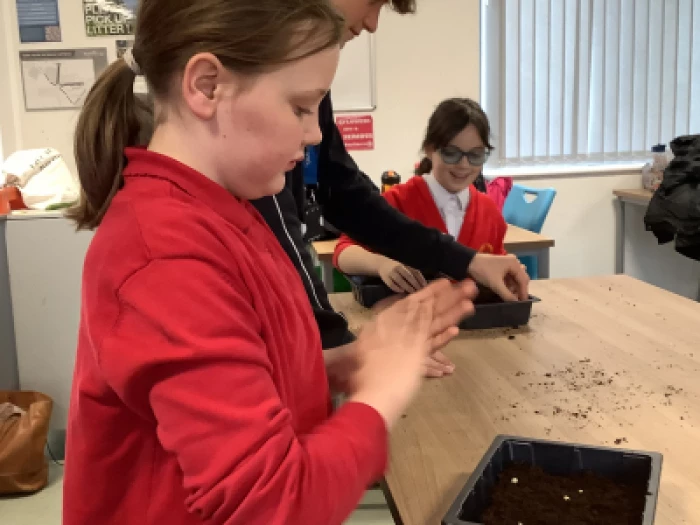 planting 2