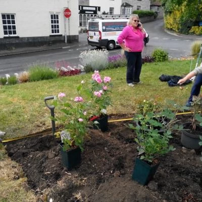 planting at madelaines 3rd june 2019 1