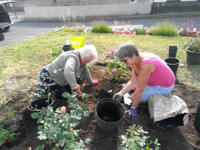 planting-at-madelaines-3rd-june-2019-5