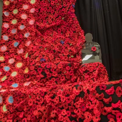 poppies and soldier