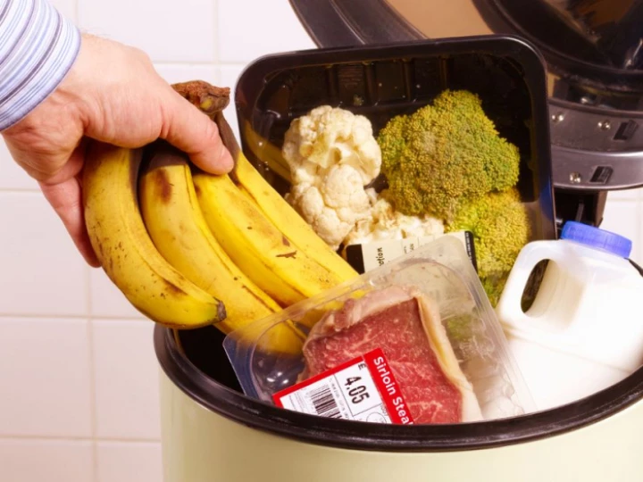 prodoutofdatefoodingarbagebin1