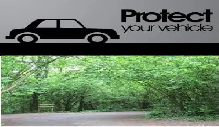 protect your car