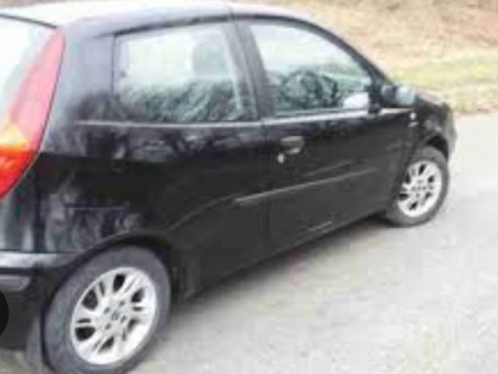 punto car