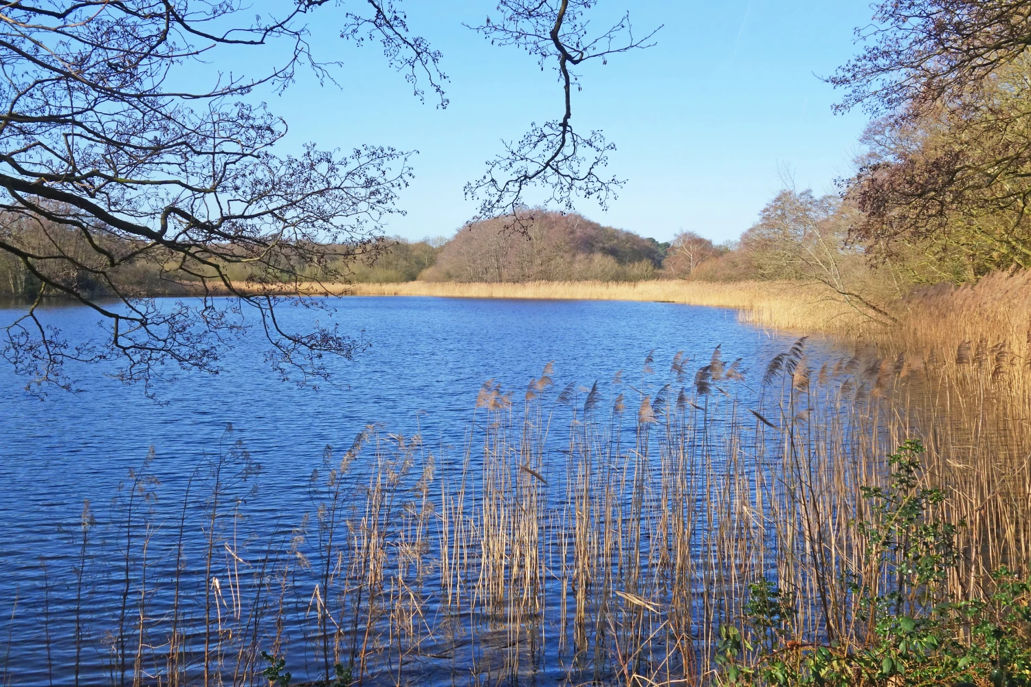 r ring of bright water s01945