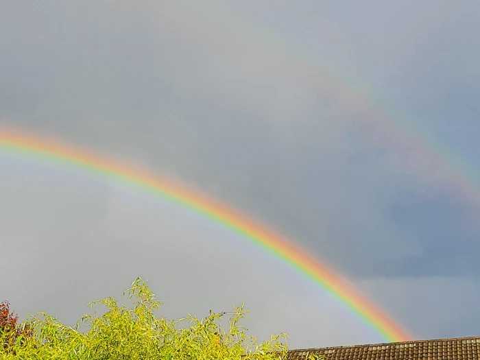 rainbow 2