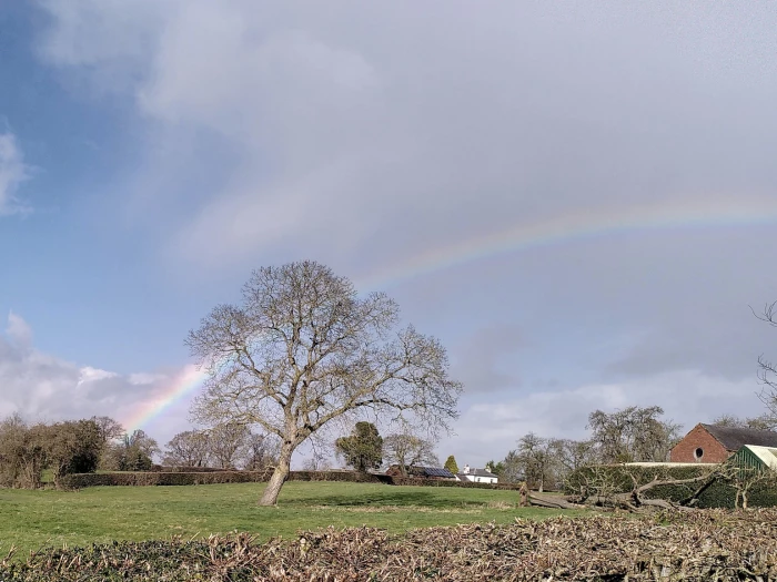 rainbow at wood orchard lane