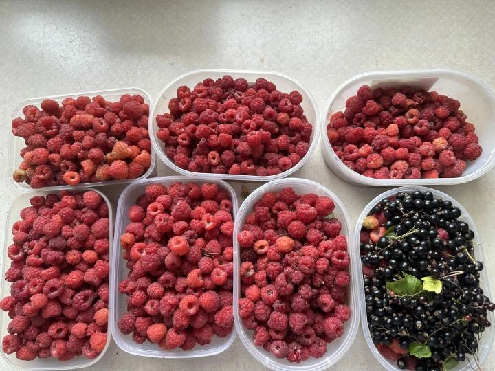 raspberries