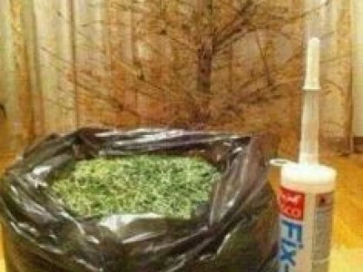 real xmas tree fail