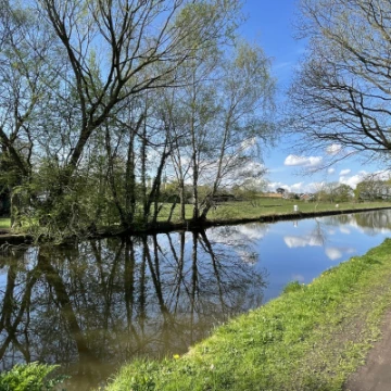 reflections