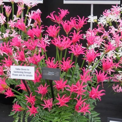 rhs malvern