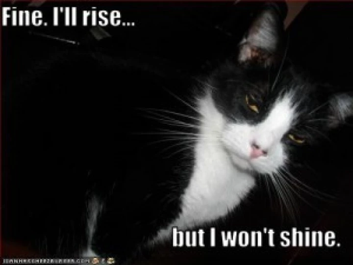 riseandshine