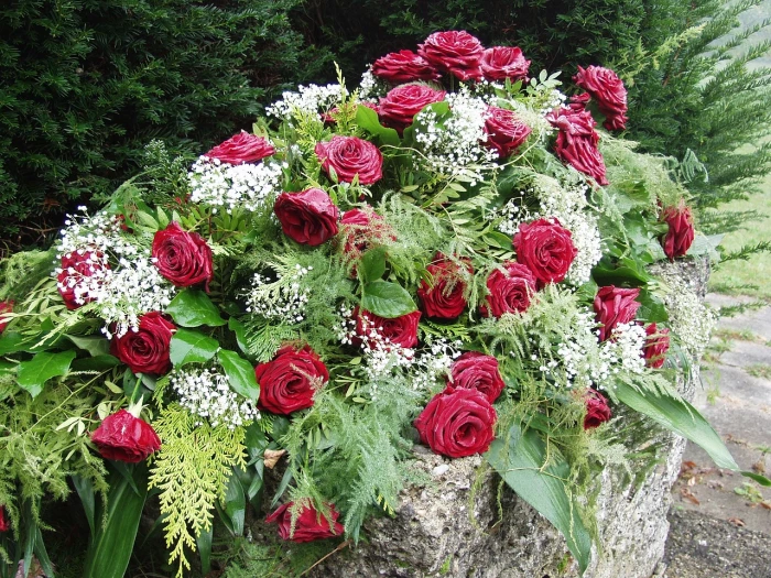 roses morning mist graveyard