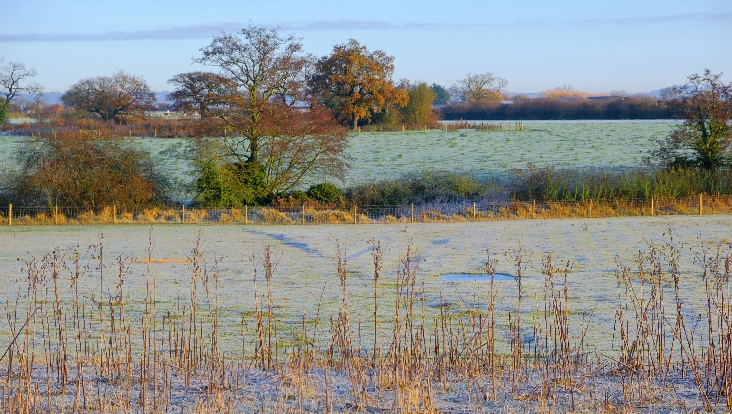 rr fields of frostf4464