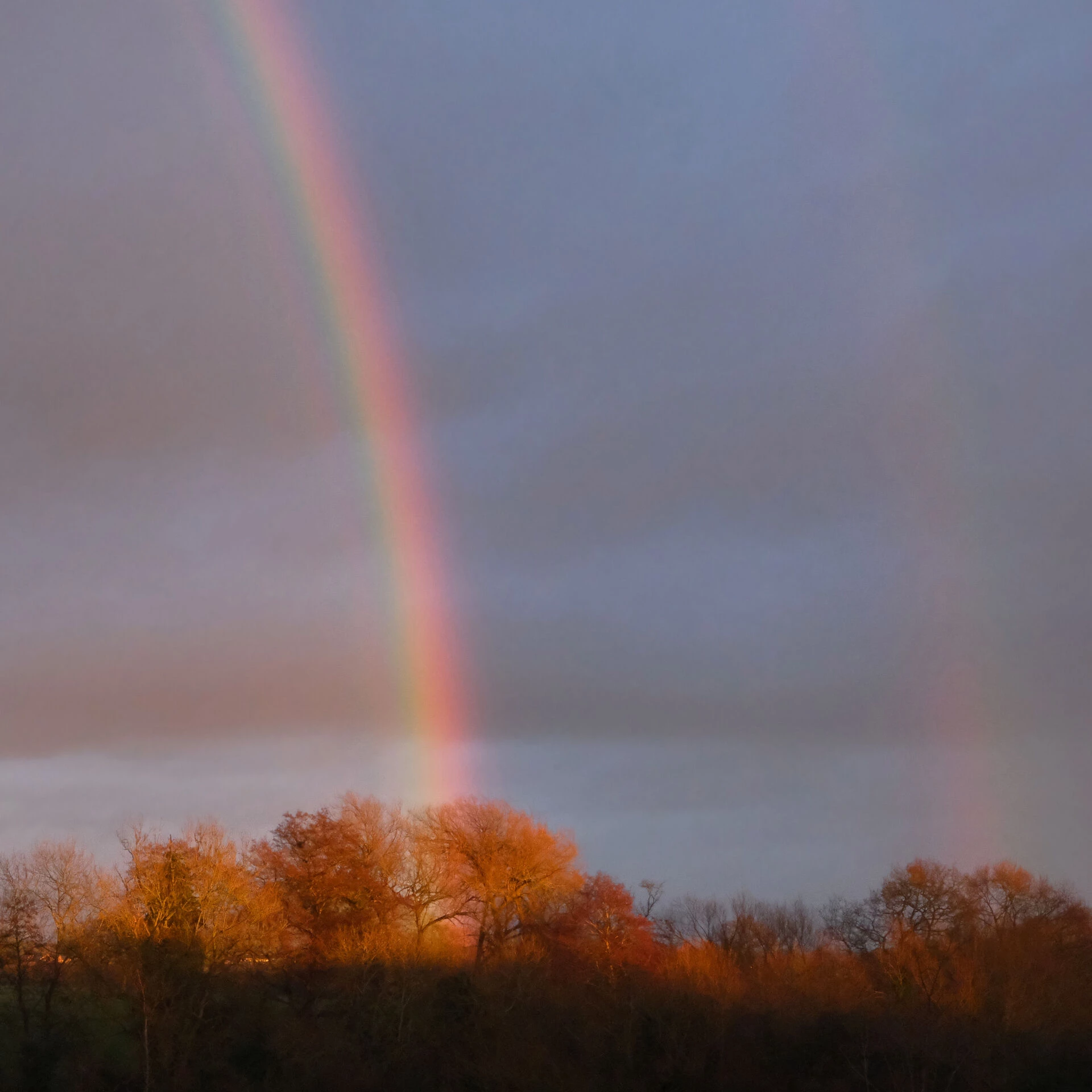 rr pot of gold f6973