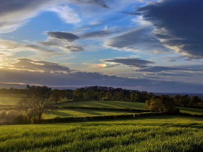 rural landscape near crewe