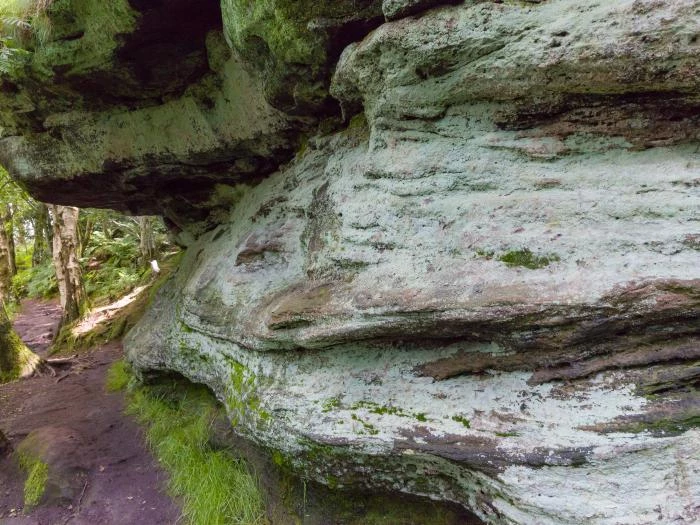 sandstone geology on bickerton hill