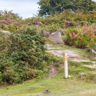 sandstone ridge trustimage