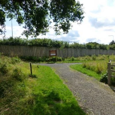 saxon heath woodland with notice board