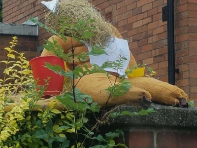 scarecrow 10
