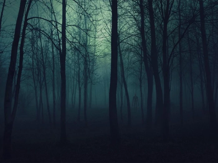 scary woods