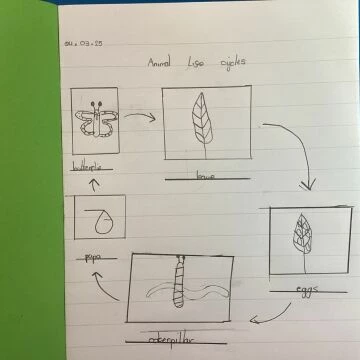 science