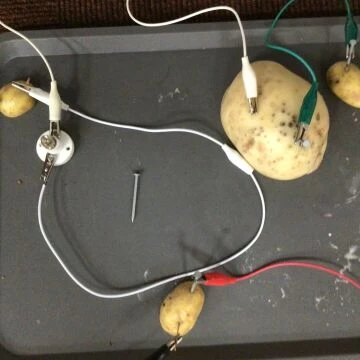 science
