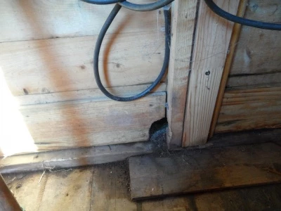 shed hole