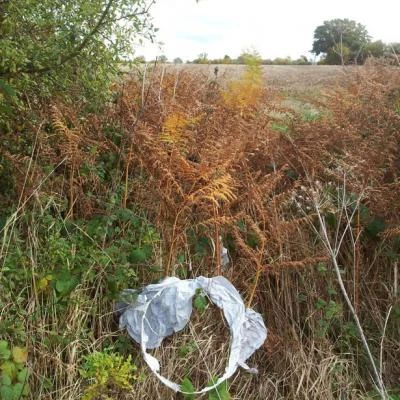 sky lantern litter