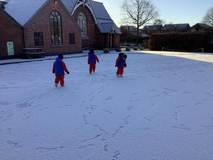 snow 241