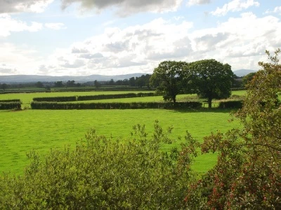southerly view from western approach to tattenhall