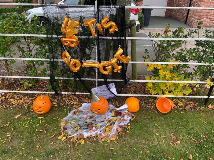 spoiled pumpkin displays