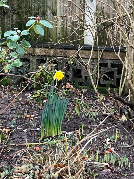 spring has sprung 