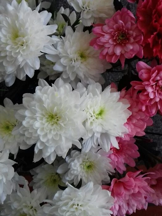 st andrews womens group flower arranging 20190330134025resized1