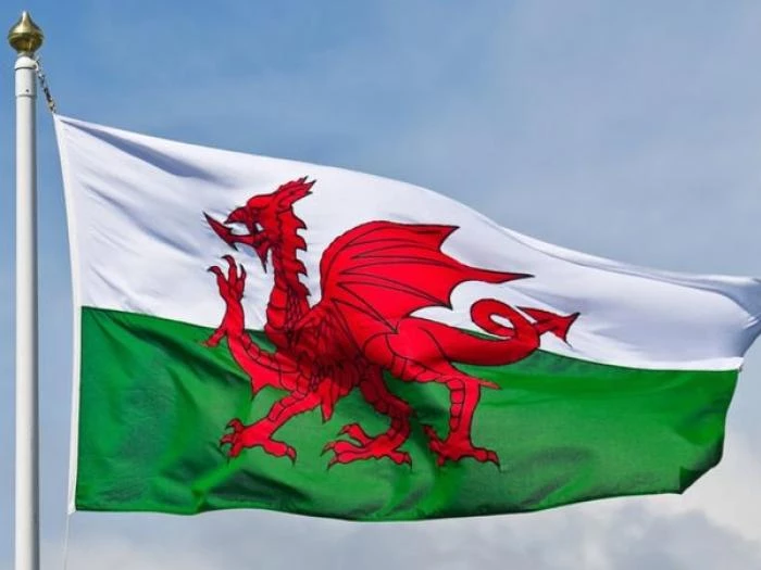 st davids day  welsh flag