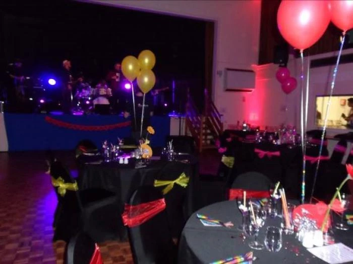 st valentines charity dinner dance  feb 2017 2