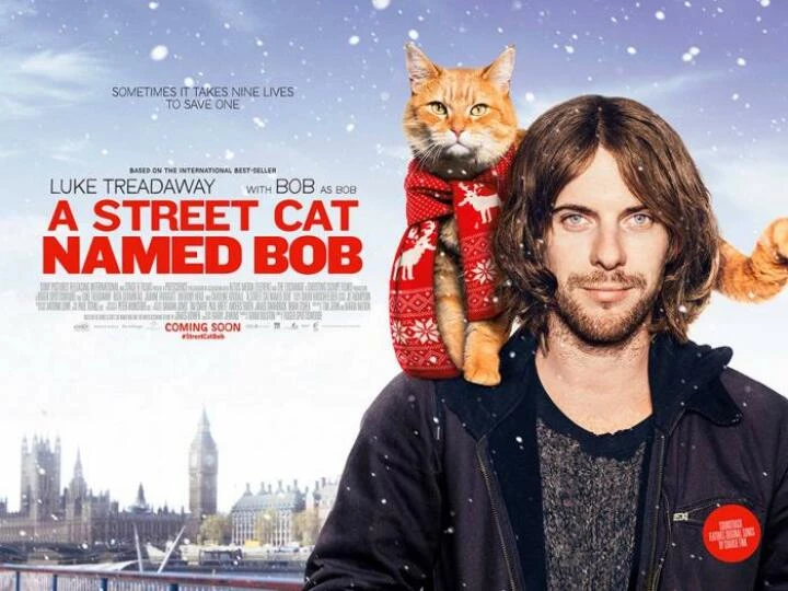 streetcatnamedbobposter
