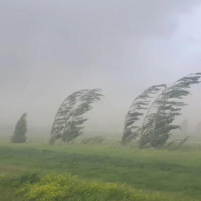 strong winds
